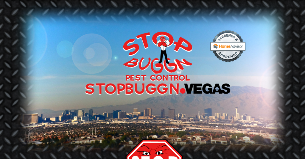 Stop Buggn Pest Control Las Vegas